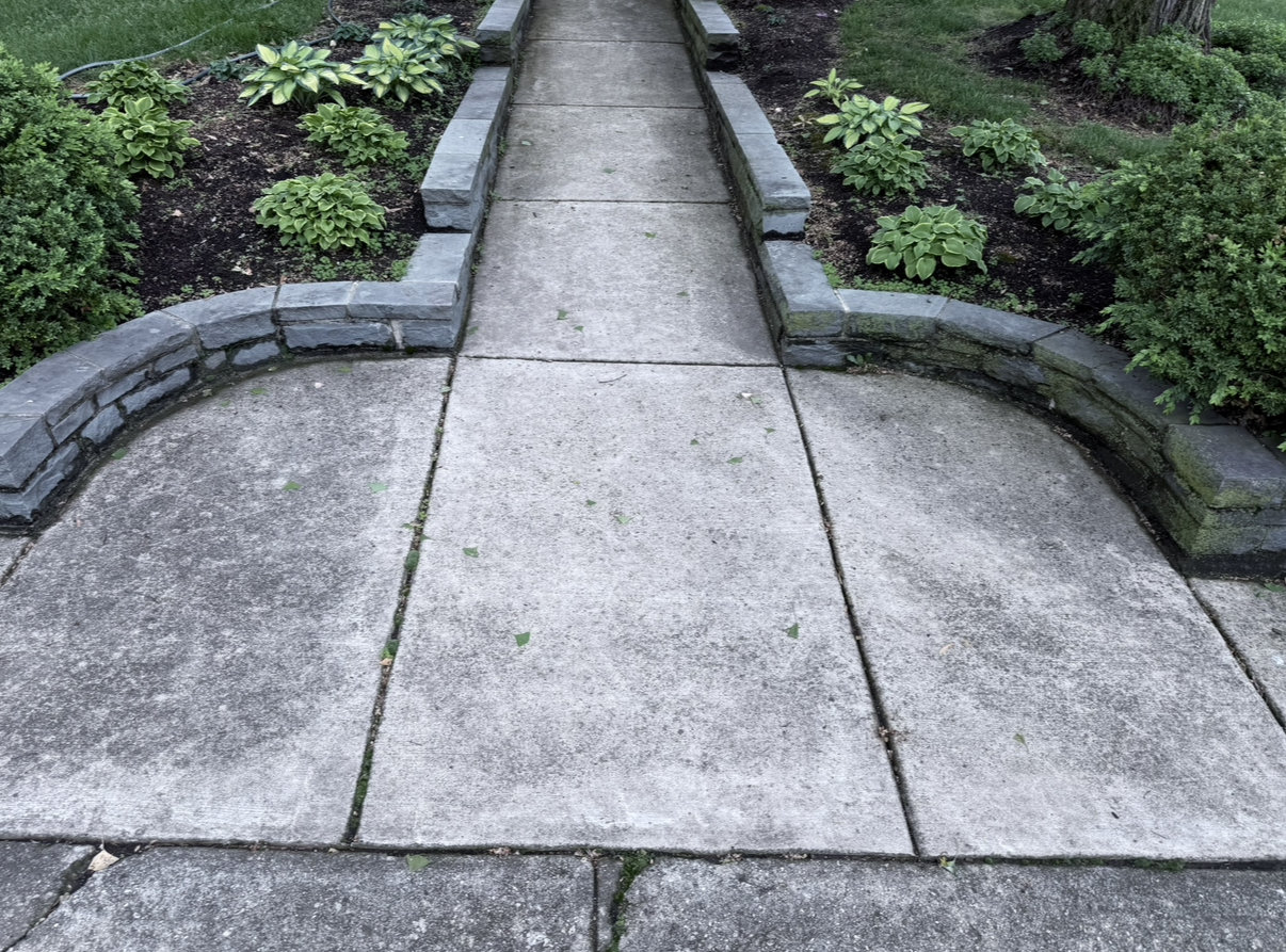 Garden walkway with dirty concrete before cleaning